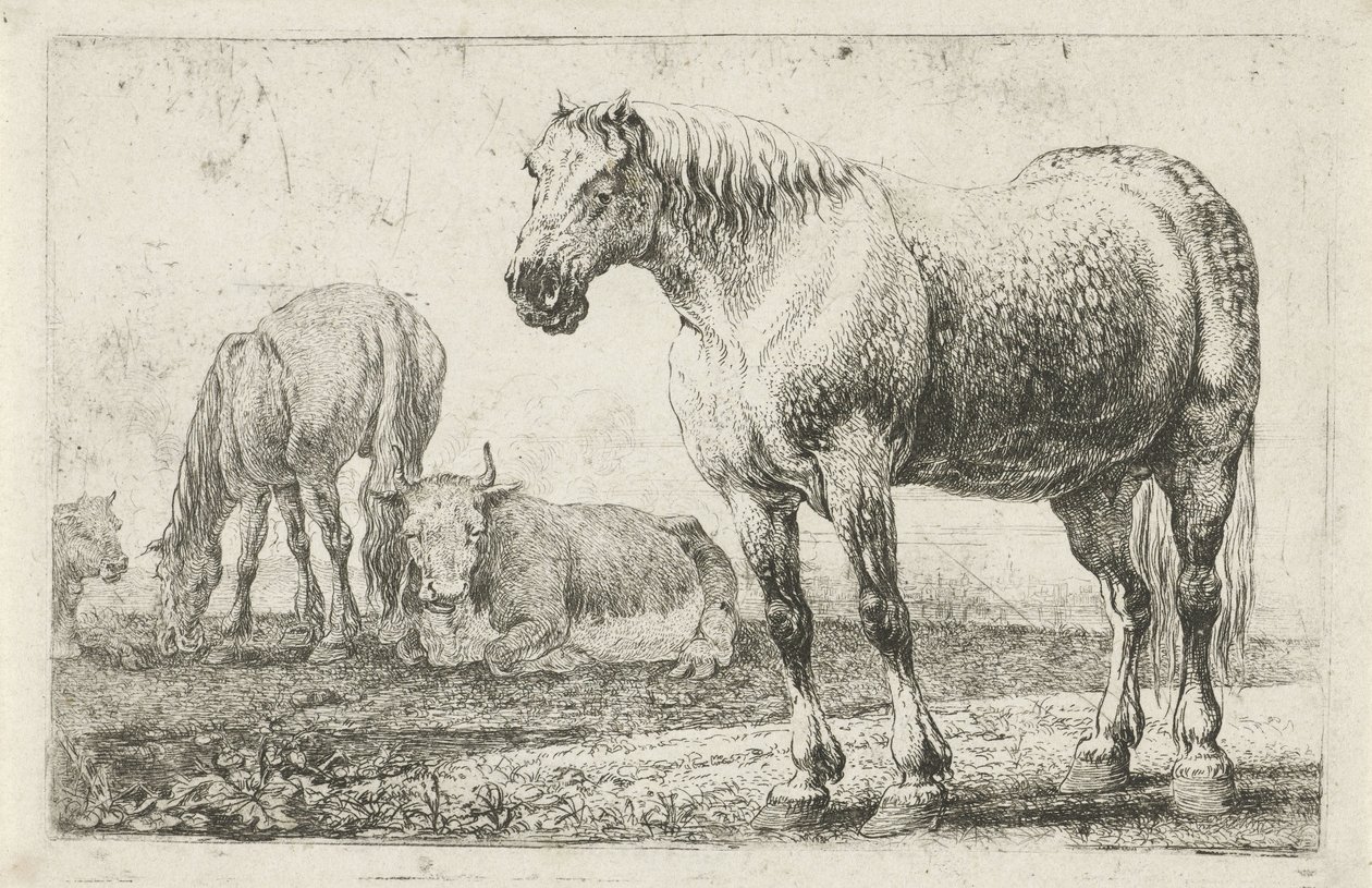 Cavalli e mucche da Jan van den Hecke
