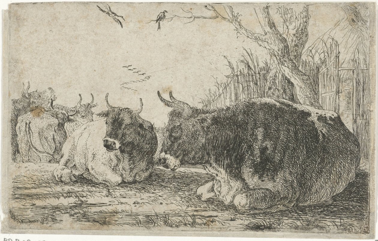 Mucche a riposo da Jan van den Hecke