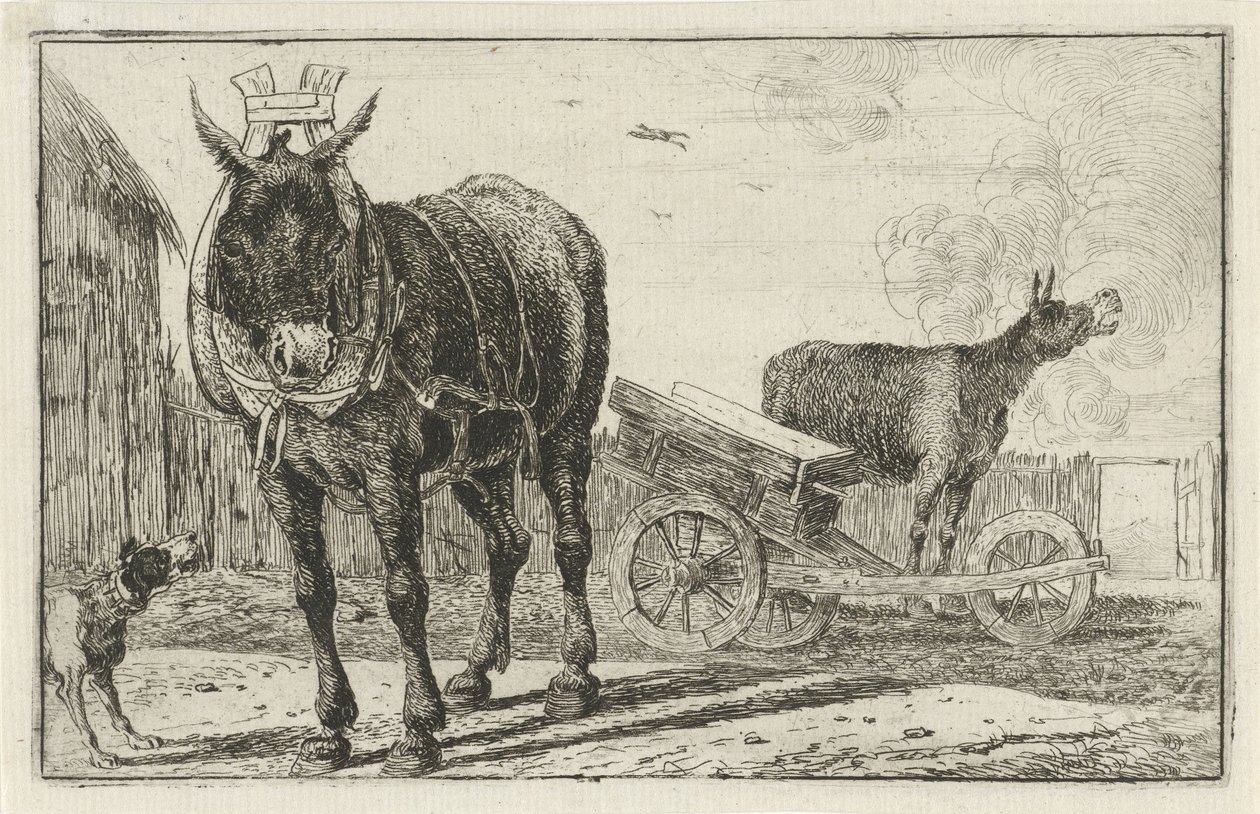 Due asini da Jan van den Hecke