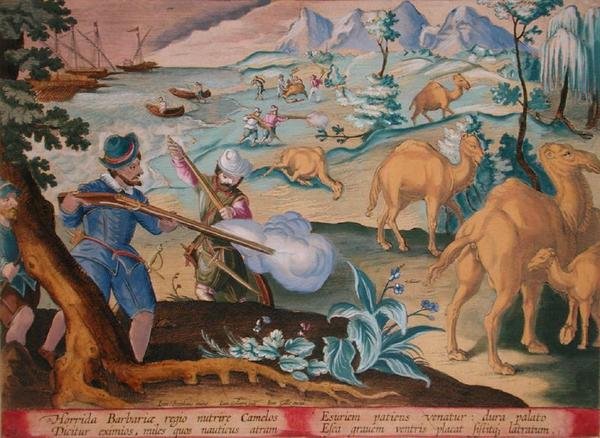Marinai in un paese barbaro orribile uccidono cammelli con moschetti per alleviare la loro fame, tavola 28 