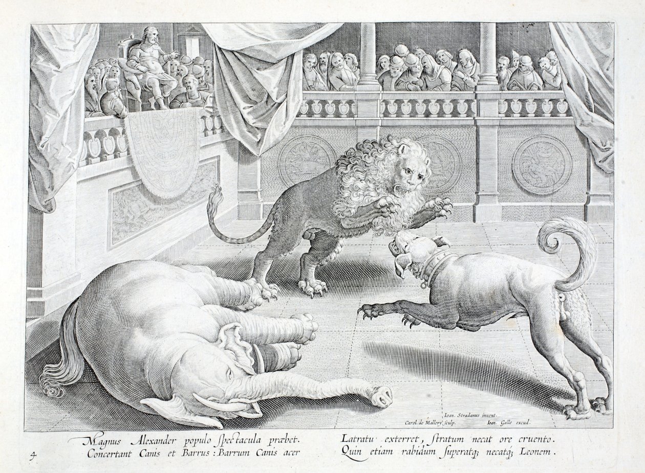 Alessandro Magno mette in scena uno spettacolo, lotta tra leone, cane ed elefante, illustrazione da 