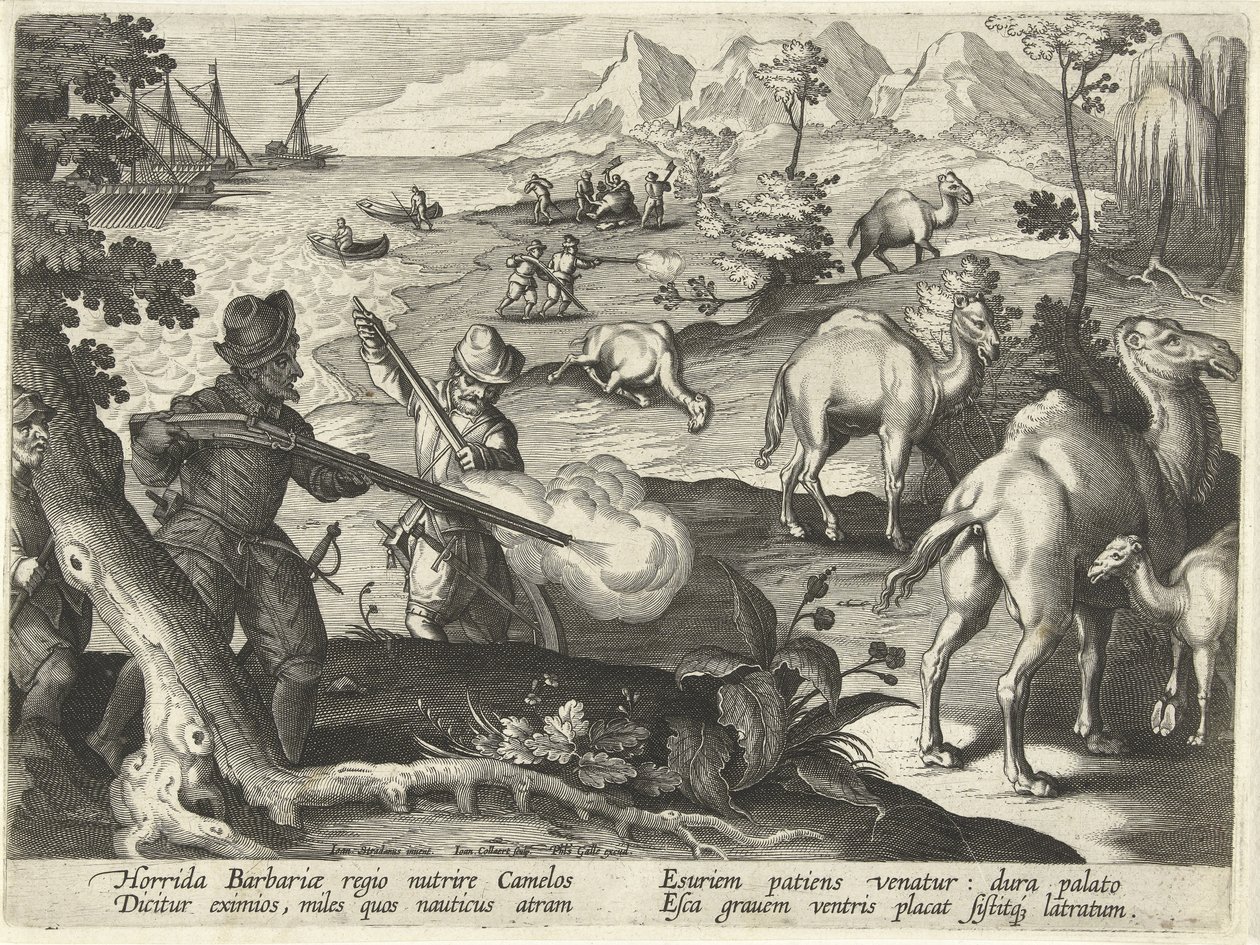 Marinai in un paese barbaro orribile uccidono cammelli con moschetti per alleviare la loro fame, illustrazione da 