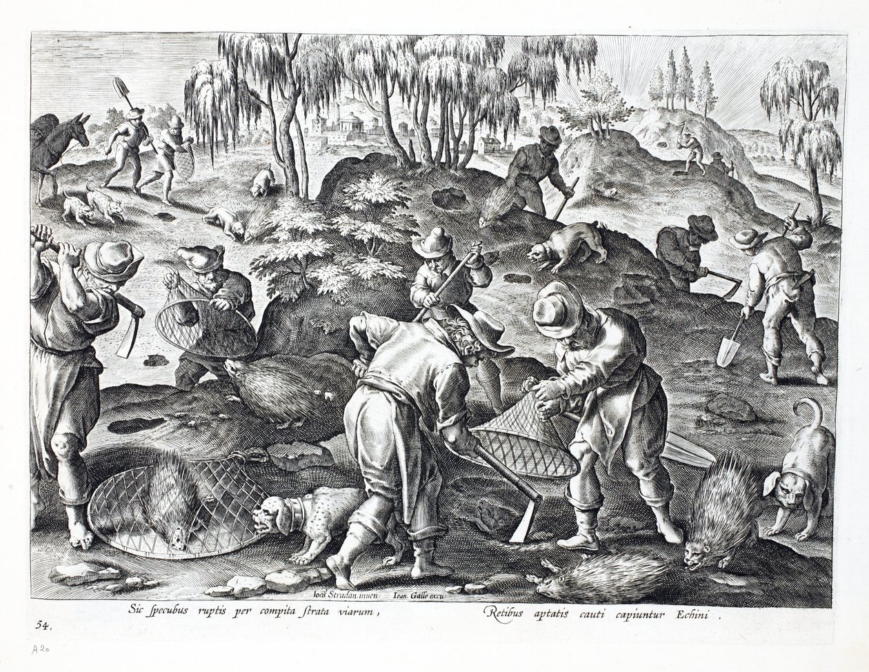 Scavare e Catturare Istrici, tavola 54, illustrazione da 