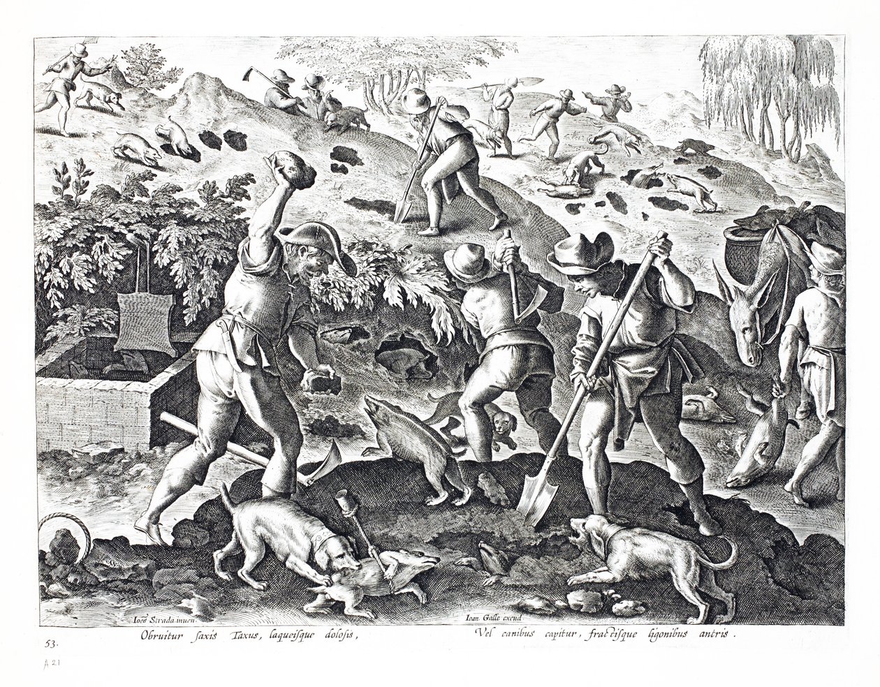 Scavare e catturare tassi, illustrazione da 