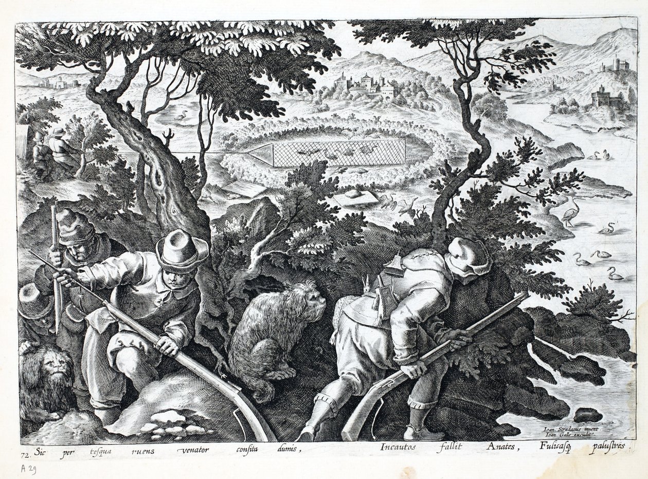 Caccia alle anatre, illustrazione da 