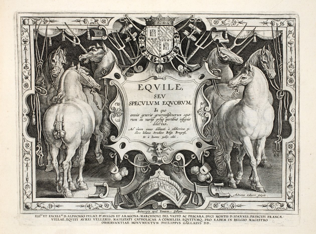 Illustrazione da 