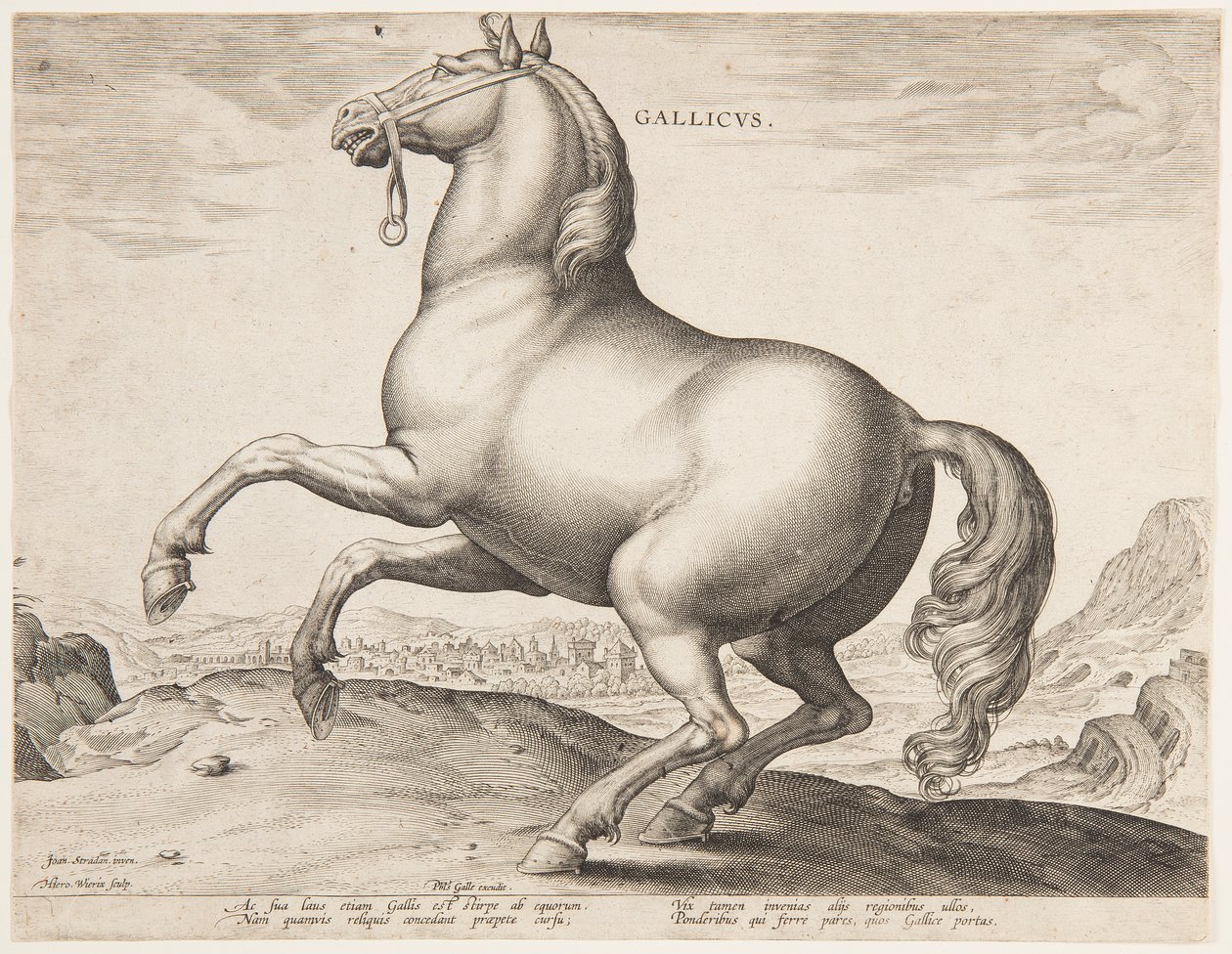 Un cavallo francese, dal primo set di "Equile Joannis Austriaci" da Jan van der Straet, called Stradanus