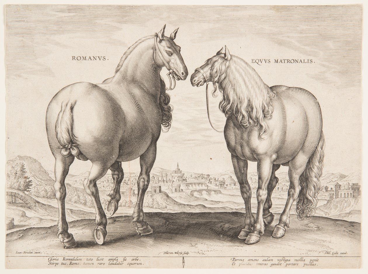 Un cavallo romano, dal primo set di "Equile Joannis Austriaci" da Jan van der Straet, called Stradanus