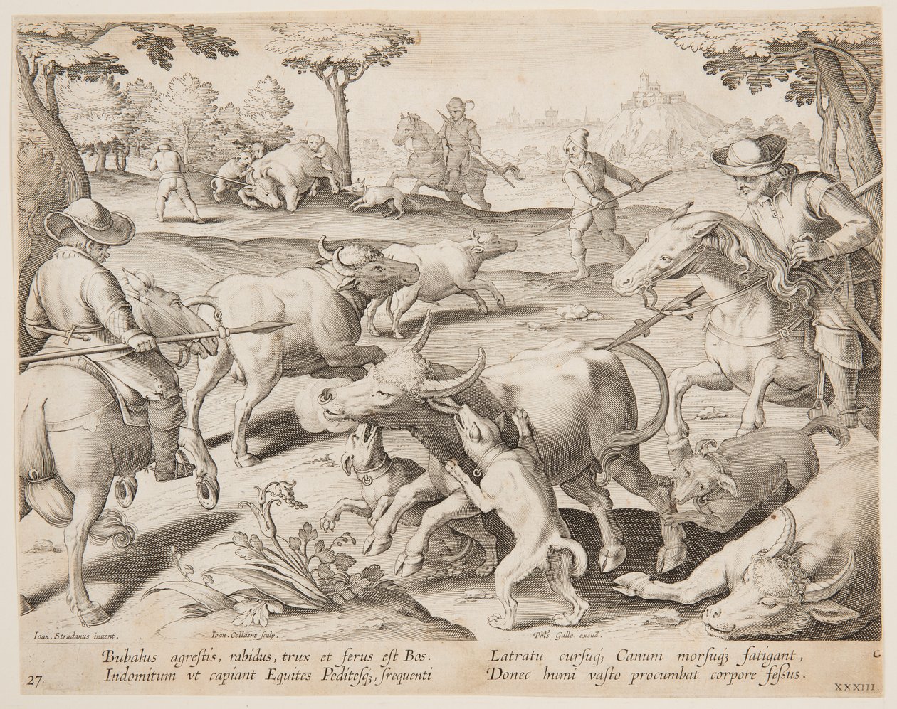 Caccia al Bufalo, tavola 27 della serie Venationes Ferarum, Avium, Piscium da Jan van der Straet, called Stradanus