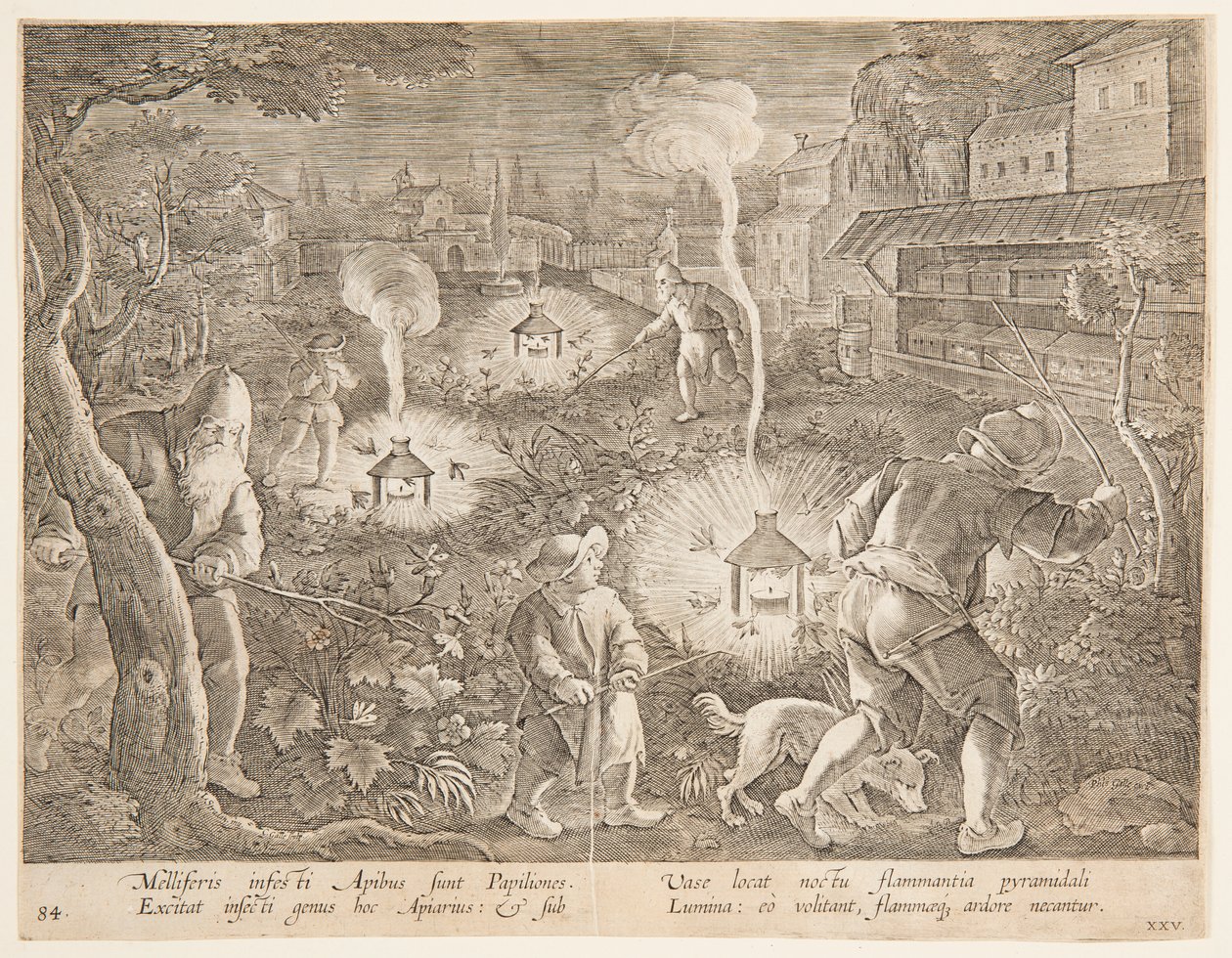 Cattura delle falene notturne, tavola 25 dalla serie Venationes Ferarum, Avium, Piscium da Jan van der Straet, called Stradanus