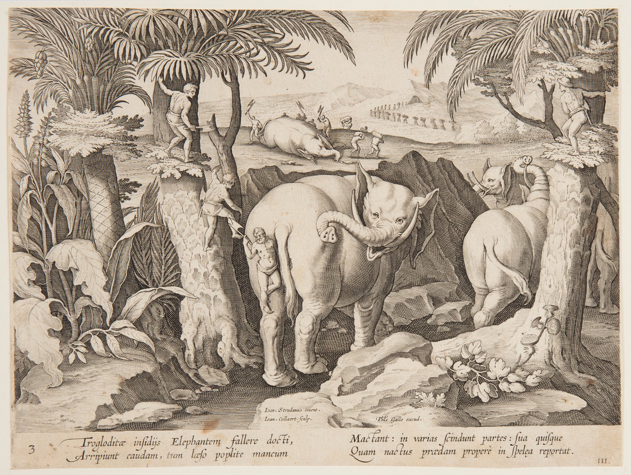 Uomini delle caverne che inseguono elefanti, tavola 3 dalla serie Venationes Ferarum, Avium, Piscium da Jan van der Straet, called Stradanus
