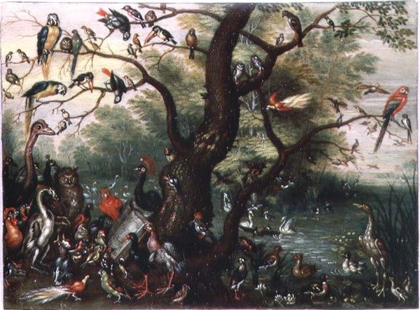 Concerto di uccelli da Jan van the Elder Kessel