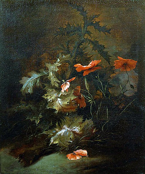 Cardi e papaveri da Jan van the Elder Kessel