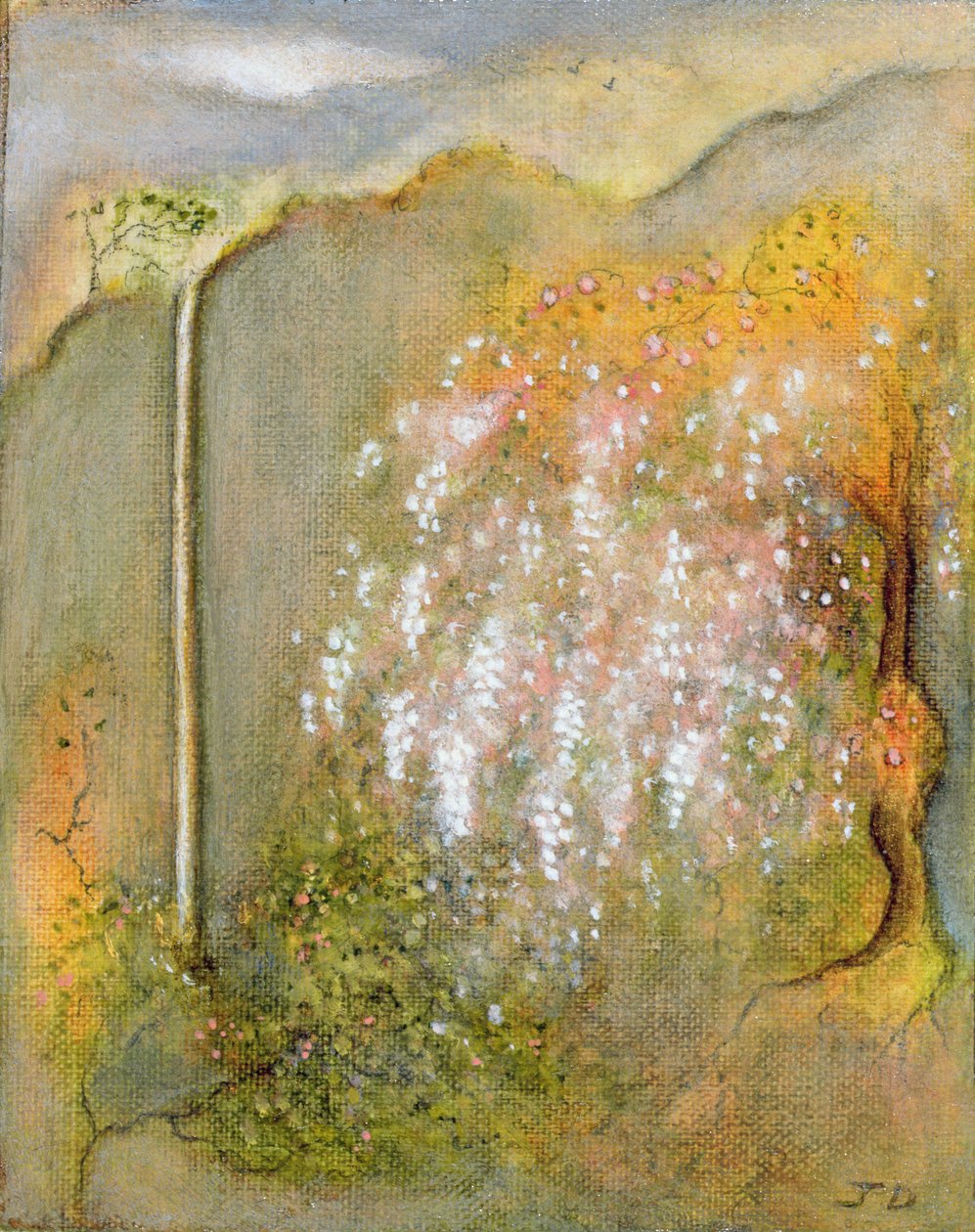 Glicine bianco, 2001 da Jane Deakin