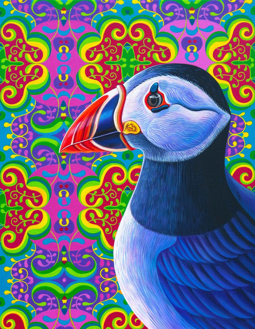 Pulcinella di mare, 2018 da Jane Tattersfield