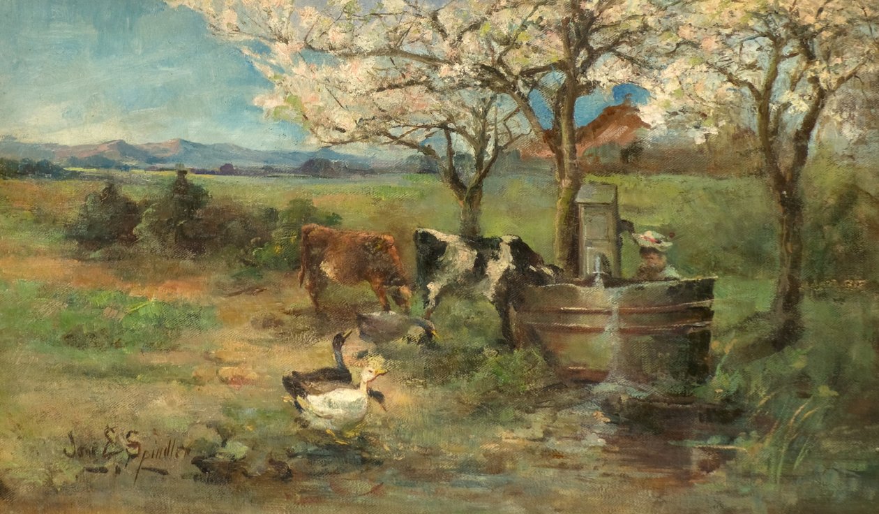 Primavera da Jane Elizabeth Spindler