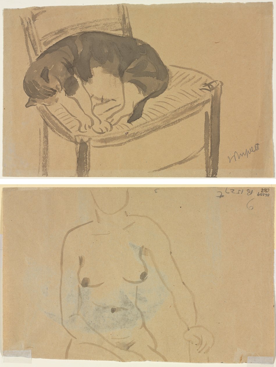 Gatto che dorme (recto) Torso di una donna nuda (verso) da Jane Poupelet