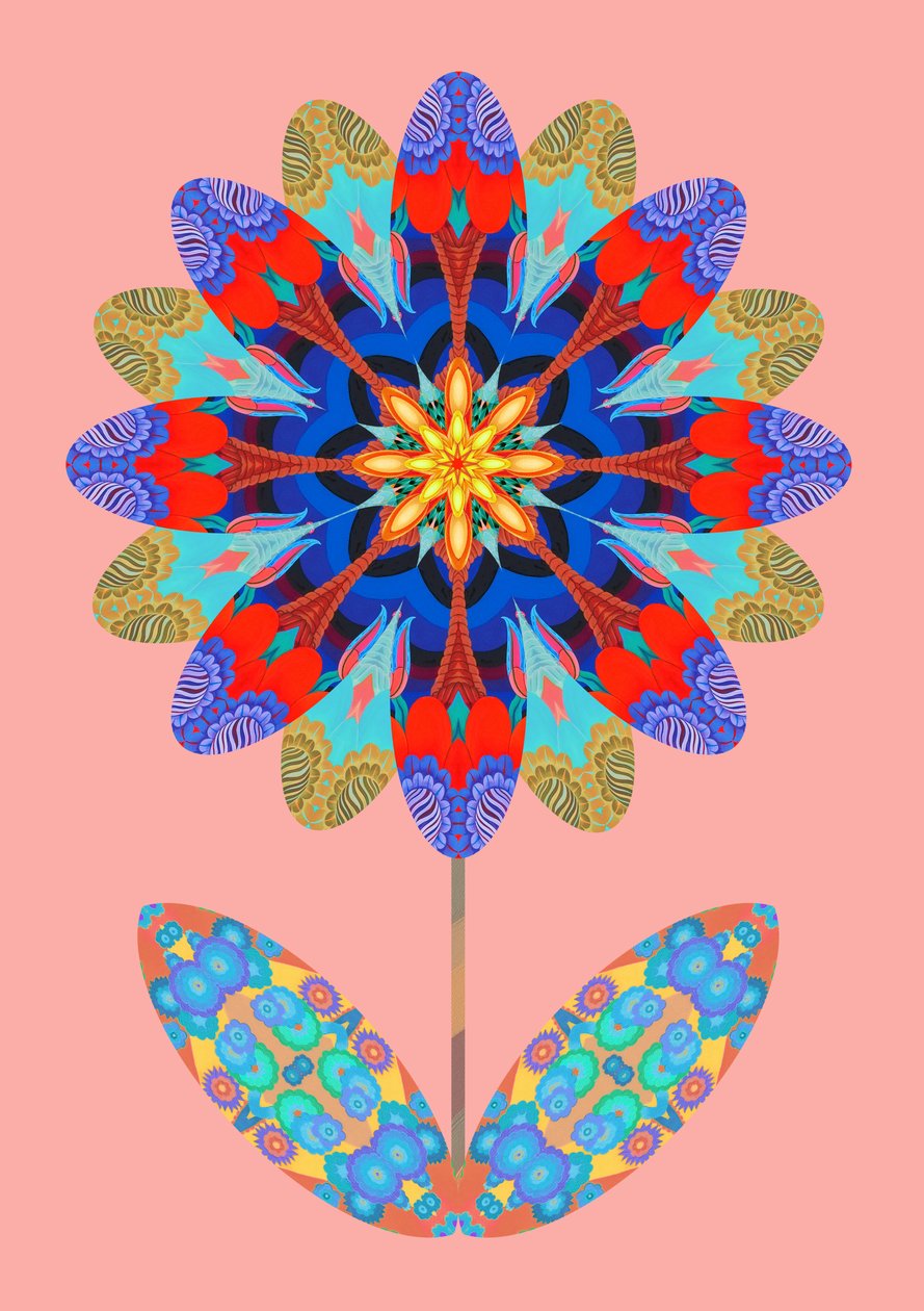 Ritaglio di Fiore su Rosa Pallido, 2020 da Jane Tattersfield