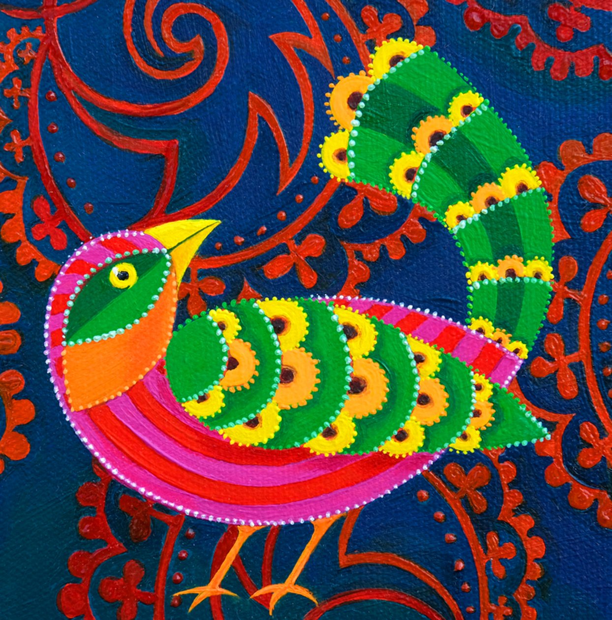 Uccello dalla coda verde da Jane Tattersfield