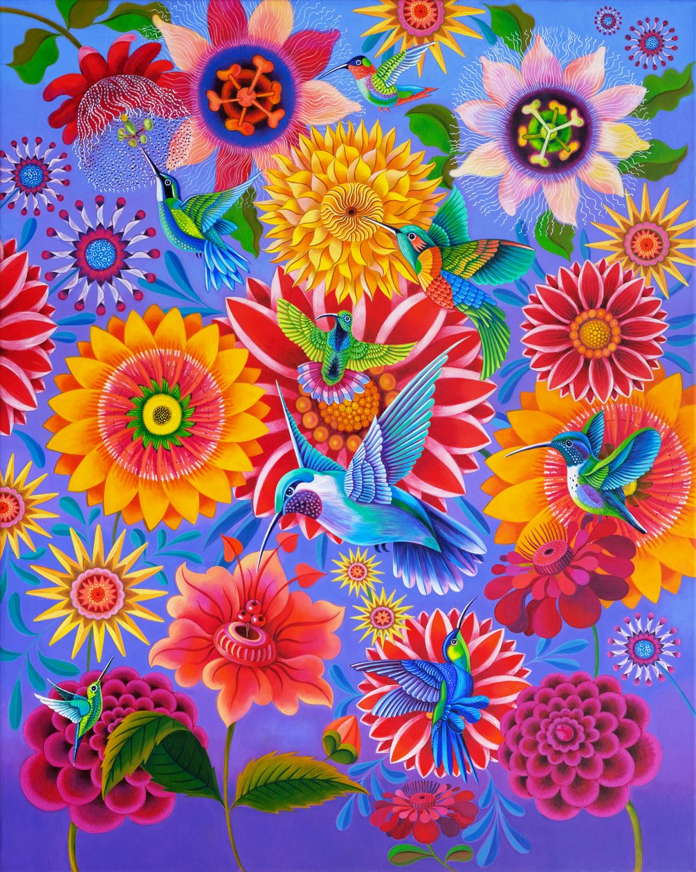 Colibrì, 2024 (olio su tela) da Jane Tattersfield