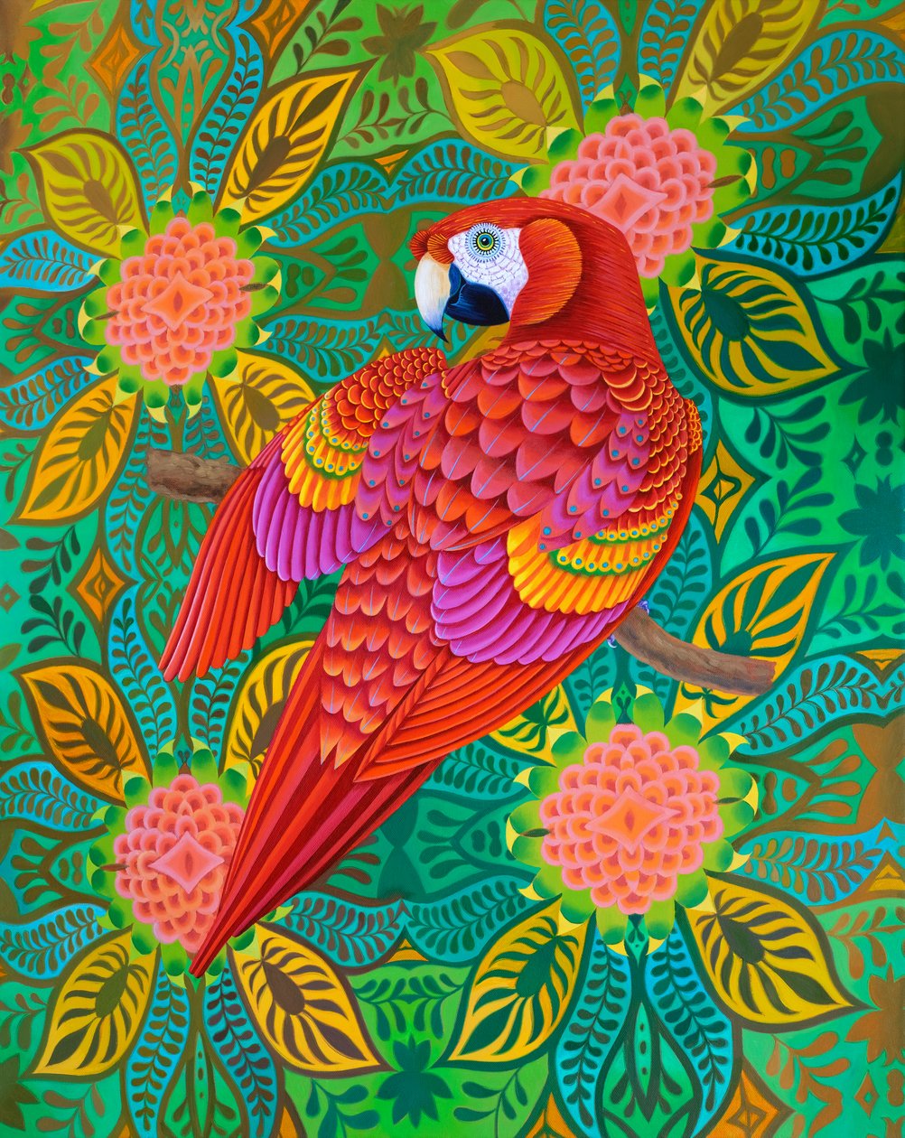 Pappagallo rosso da Jane Tattersfield