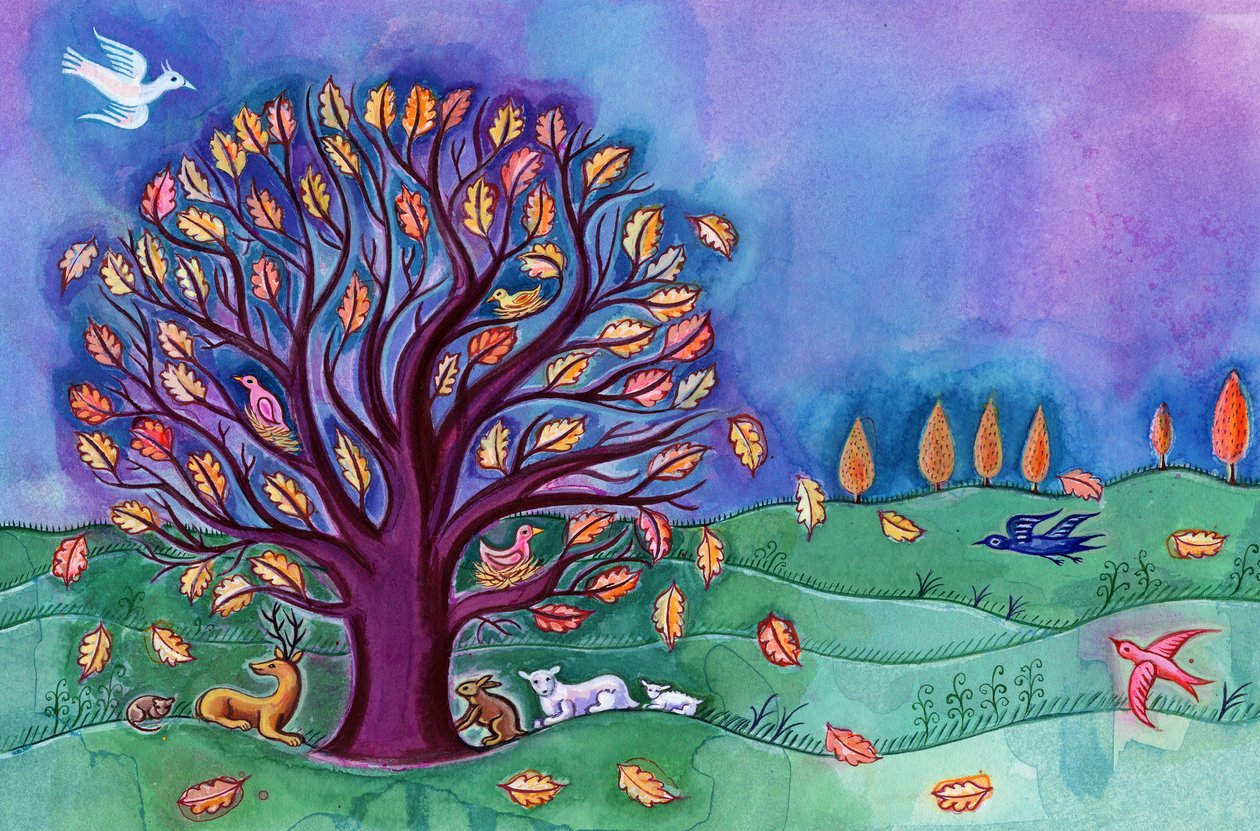 Albero in autunno da Jane Tattersfield