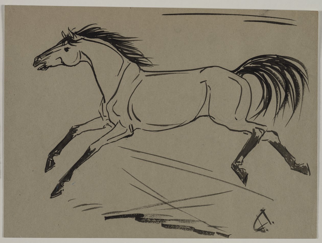 Cavallo al galoppo da Jane Travis