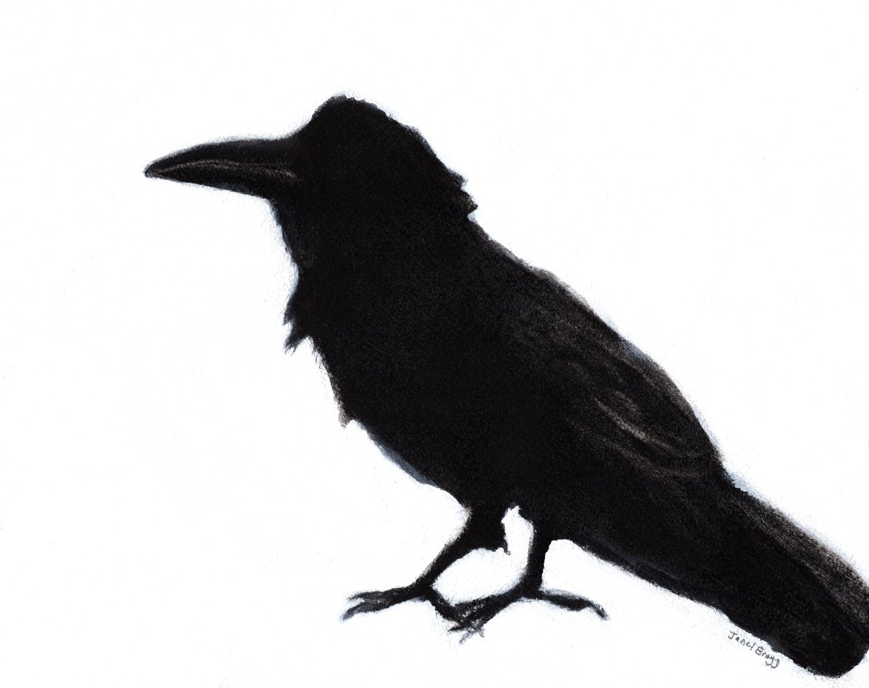 Raven at Baker Beach, 2023 circa (tecnica mista su carta) da Janel Bragg