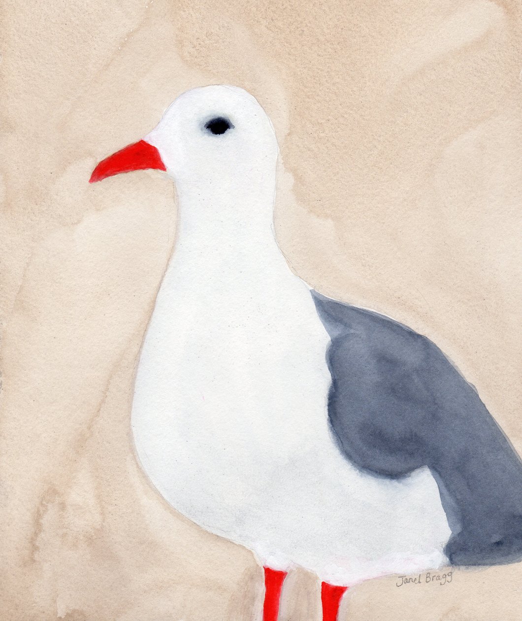 Gabbiano da Anacortes II, c.2018 da Janel Bragg