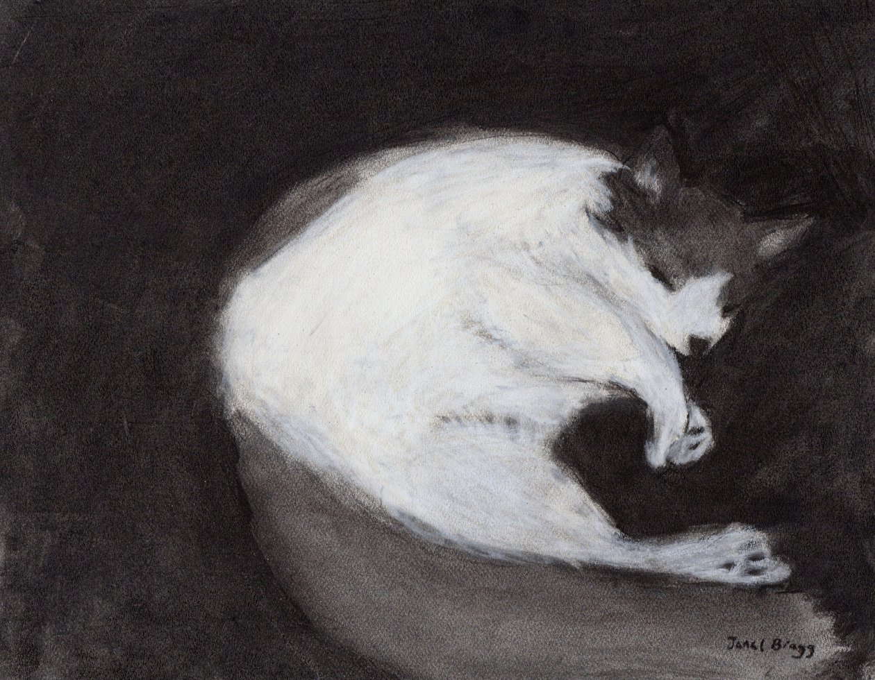 Thomas che fa un pisolino, c. 2018 (carboncino e pastello su carta) da Janel Bragg