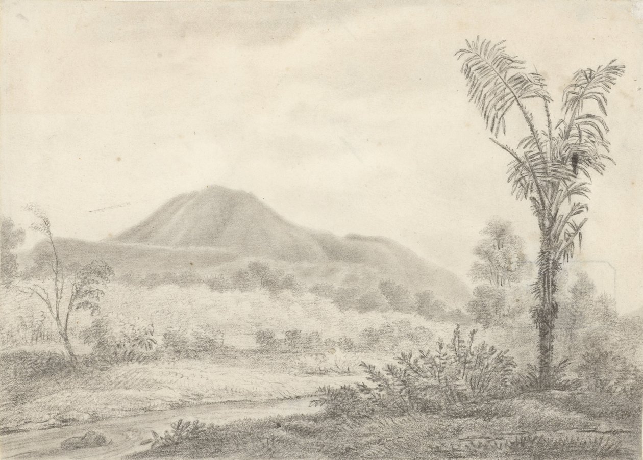 Paesaggio giavanese con montagna e palma da Jannes Theodorus Bik