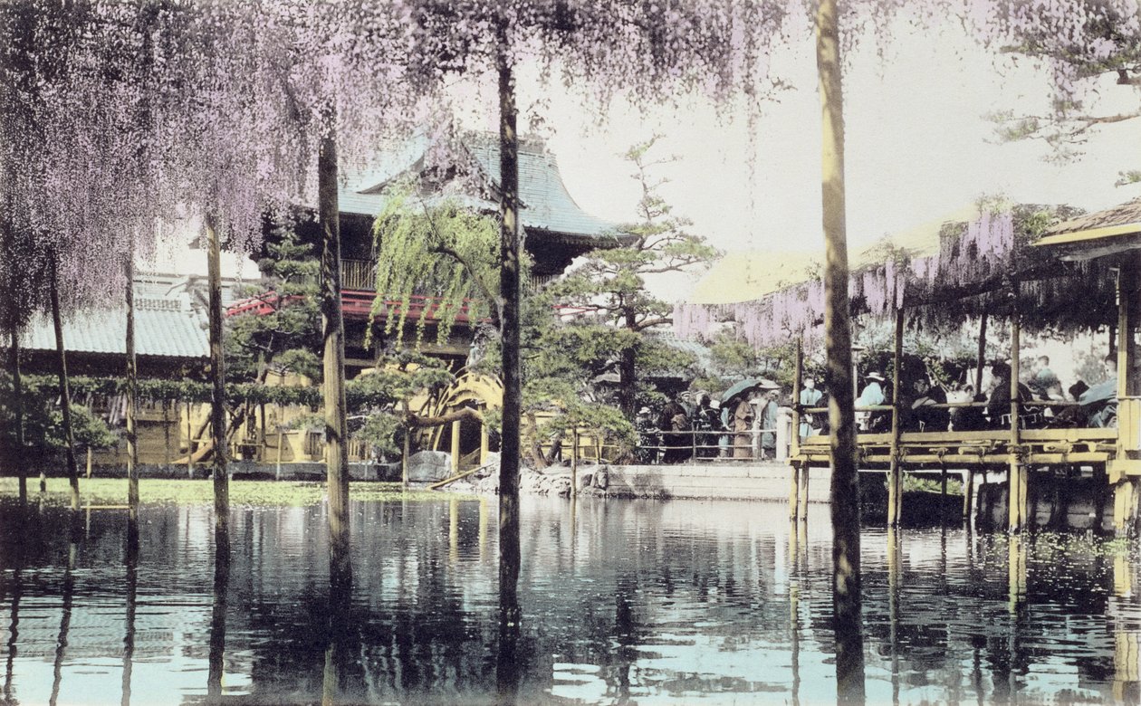 Fioritura di glicine sullo stagno nei giardini del tempio di Kameido, Tokyo, fine XIX secolo (foto colorata a mano) da Japanese Photographer