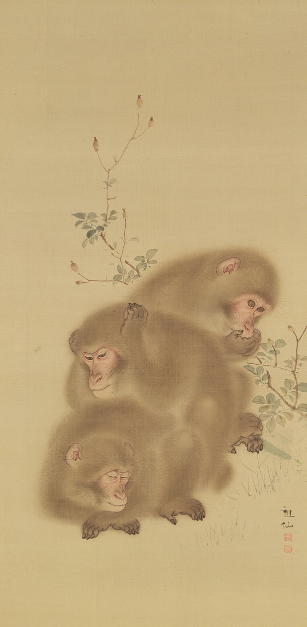 Famiglia di babbuini da Japanese School