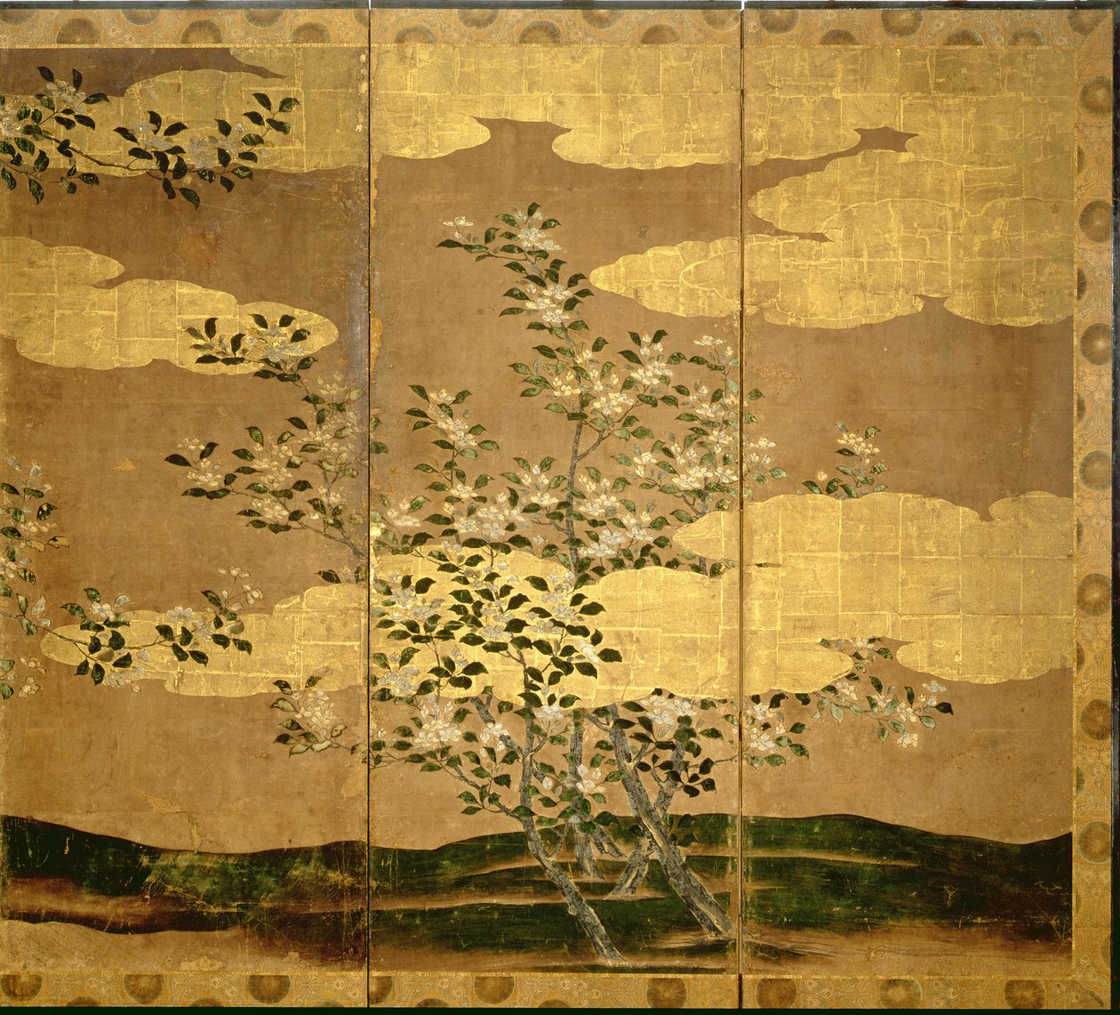Fiori di camelie da Japanese School