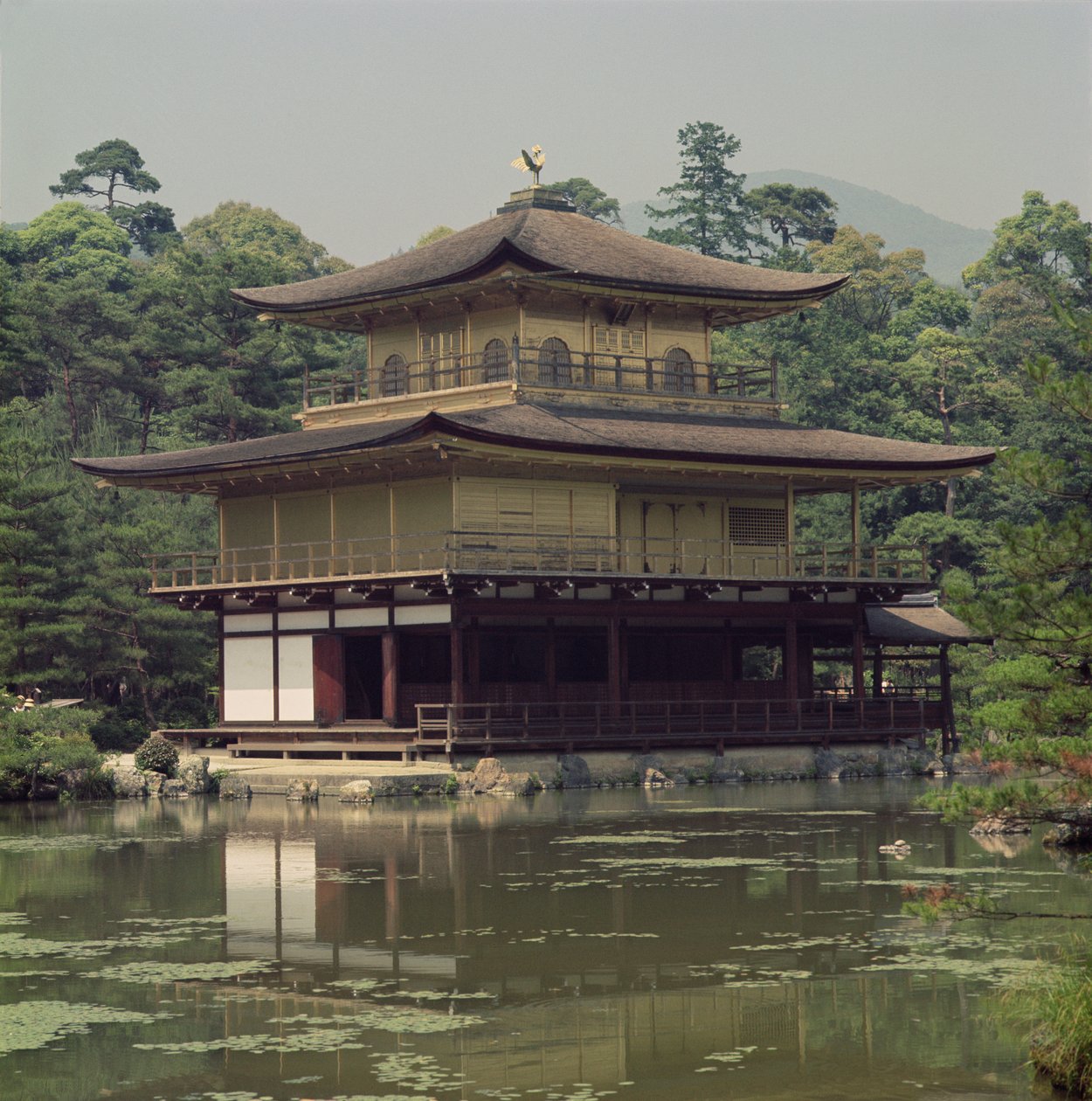 Tempio Kinkaku (Padiglione d