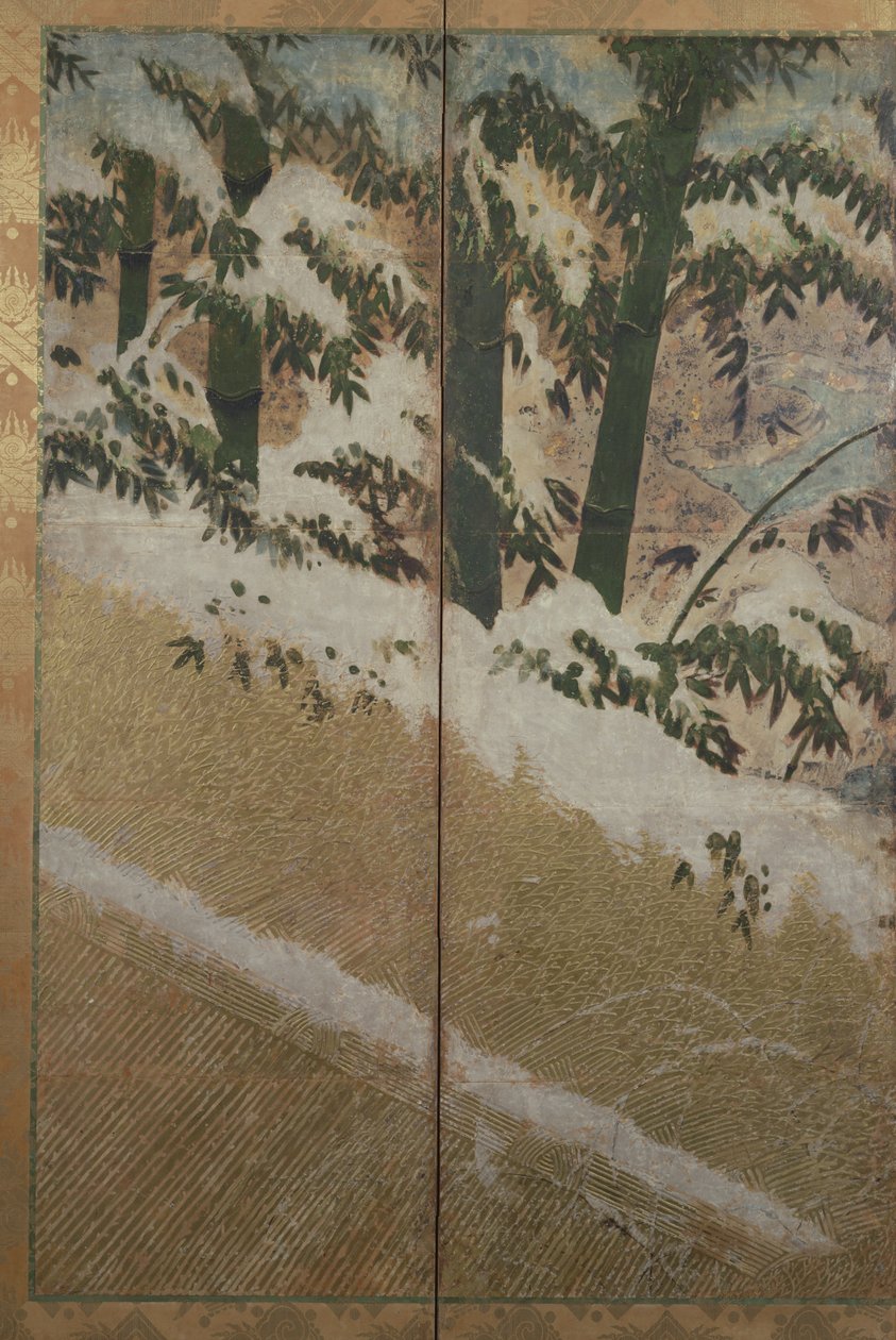 Piante d