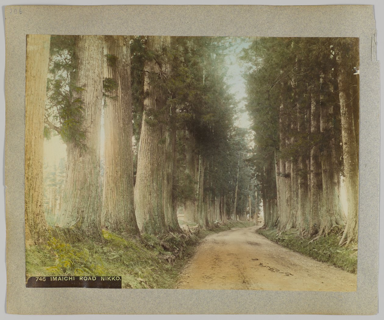 Strada Imaichi, Nikko, Giappone da Japanese Photographer