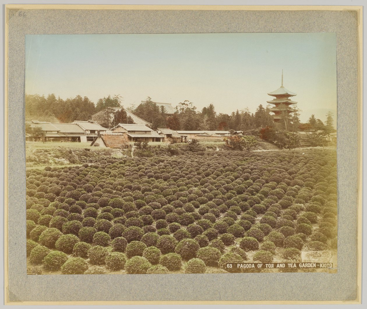 Pagoda di Toji e giardino del tè, Kyoto, Giappone da Japanese Photographer