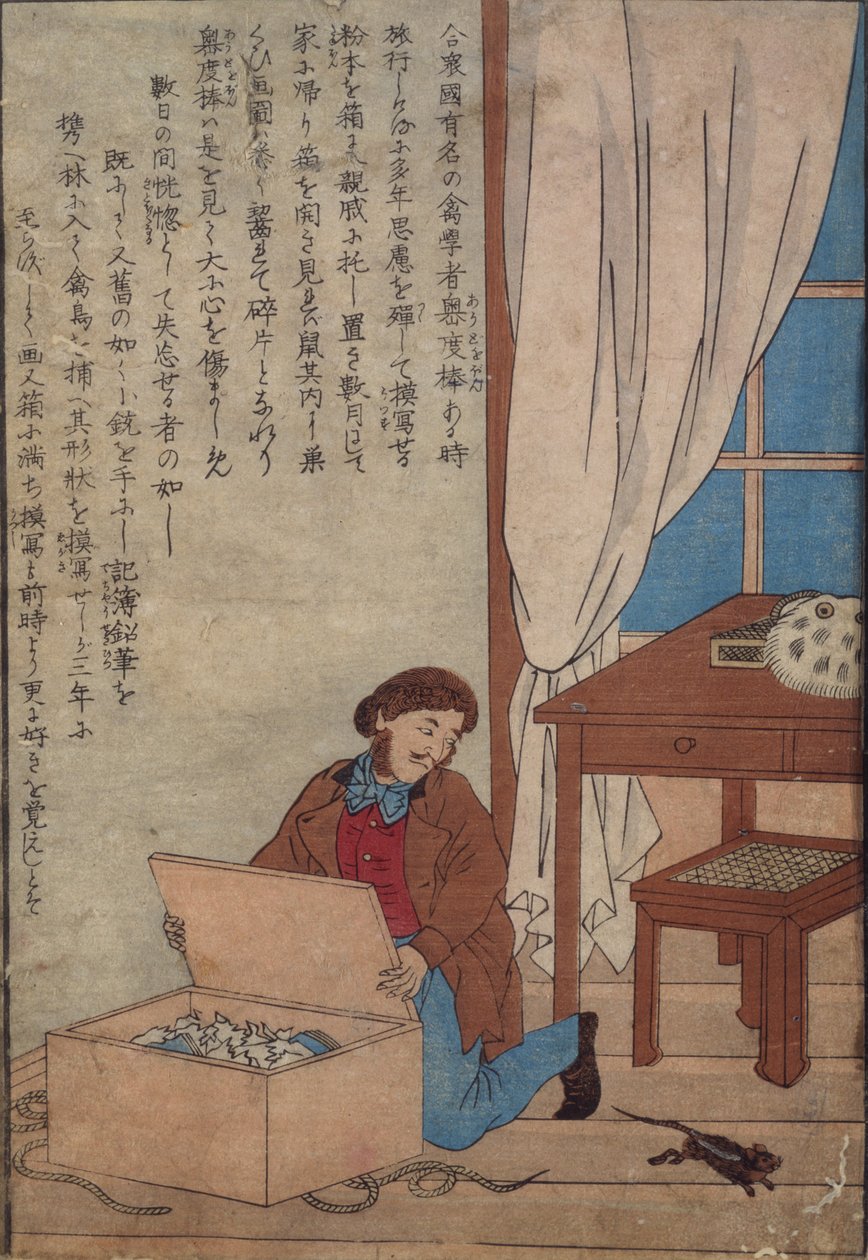 Audubon apre la sua scatola di acquerelli distrutti dai ratti norvegesi da Japanese School