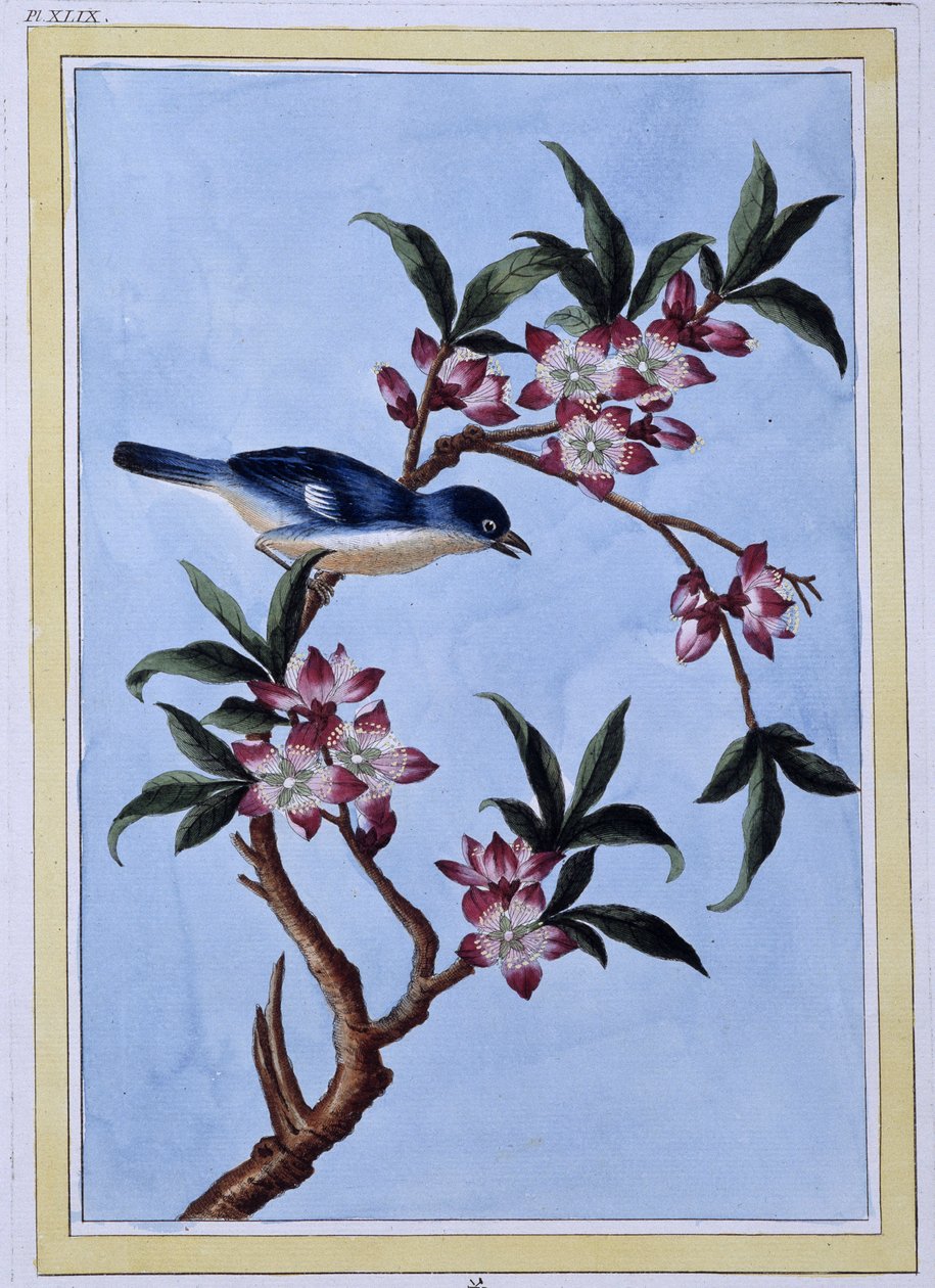 Uccello - stampa giapponese da Japanese School