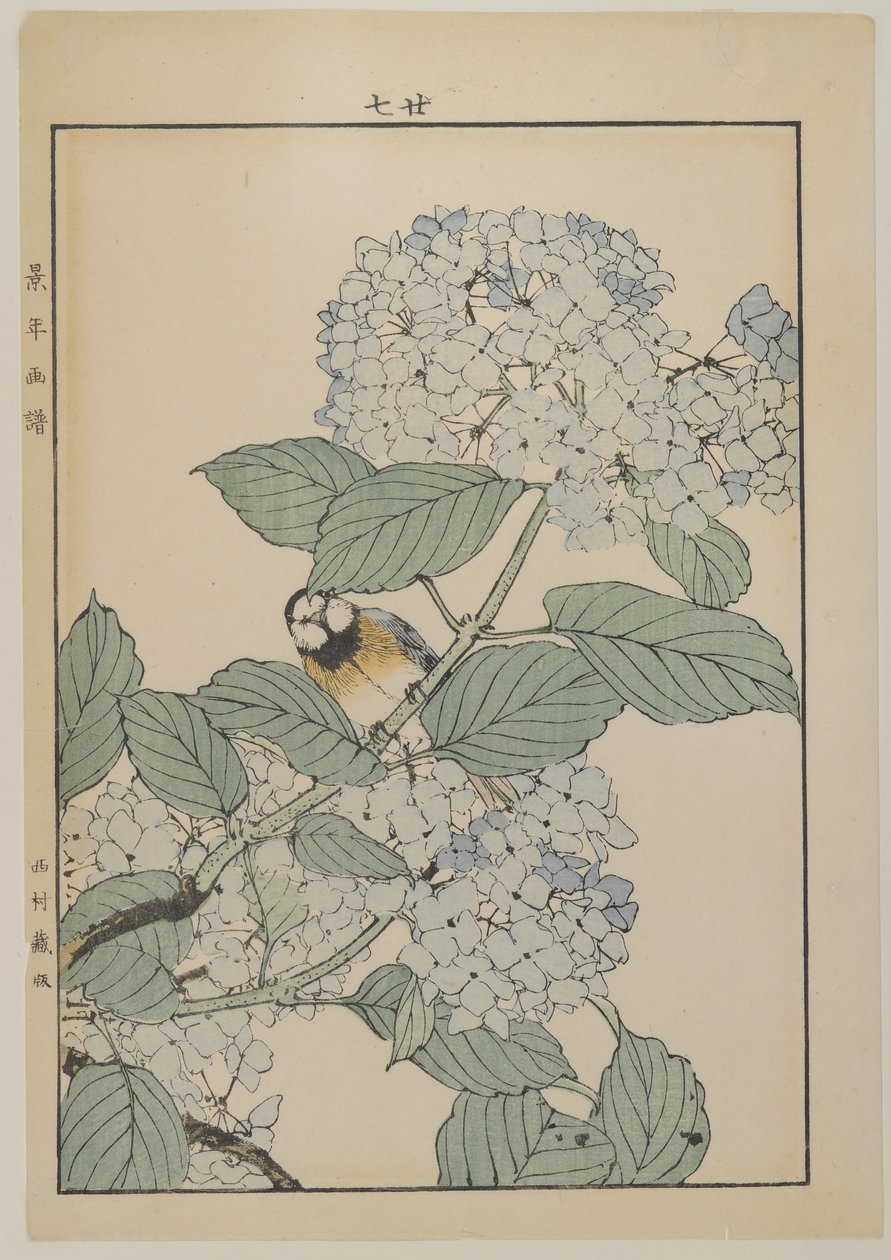 Uccello con ortensia, periodo Meiji, c.1868-1912 da Japanese School