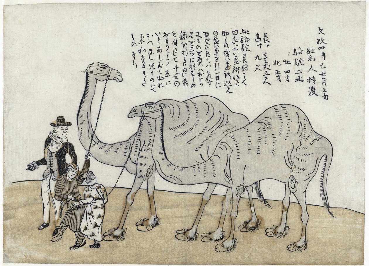 Cammello con conduttori, pub. 1821 da Japanese School