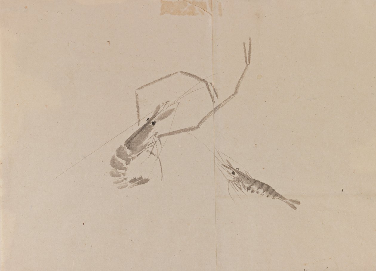 Disegno di due gamberi da Japanese School