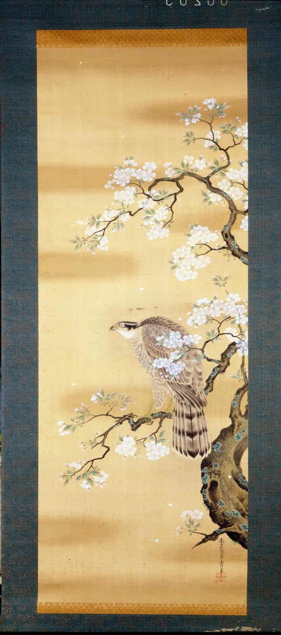 Falco su un ramo di ciliegio giapponese fiorito. Dipinto su seta del XVIII secolo del Giappone. Genova. Museo Chiossone. da Japanese School