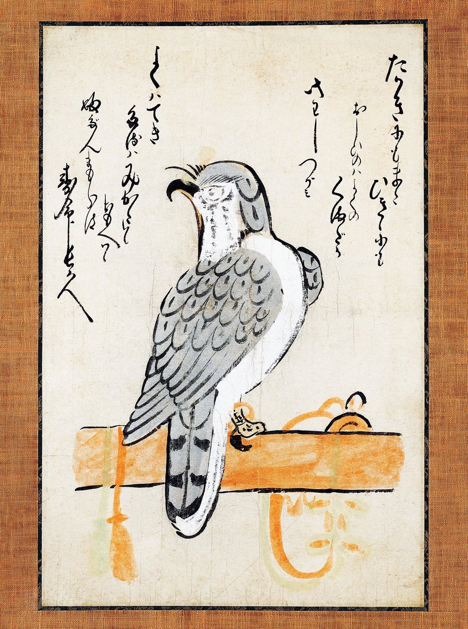 Falco legato al posatoio, illustrazione su rotolo verticale, fine XIX secolo, inchiostro e colore su carta, 43x2,5 cm, civiltà giapponese, periodo Meiji da Japanese School