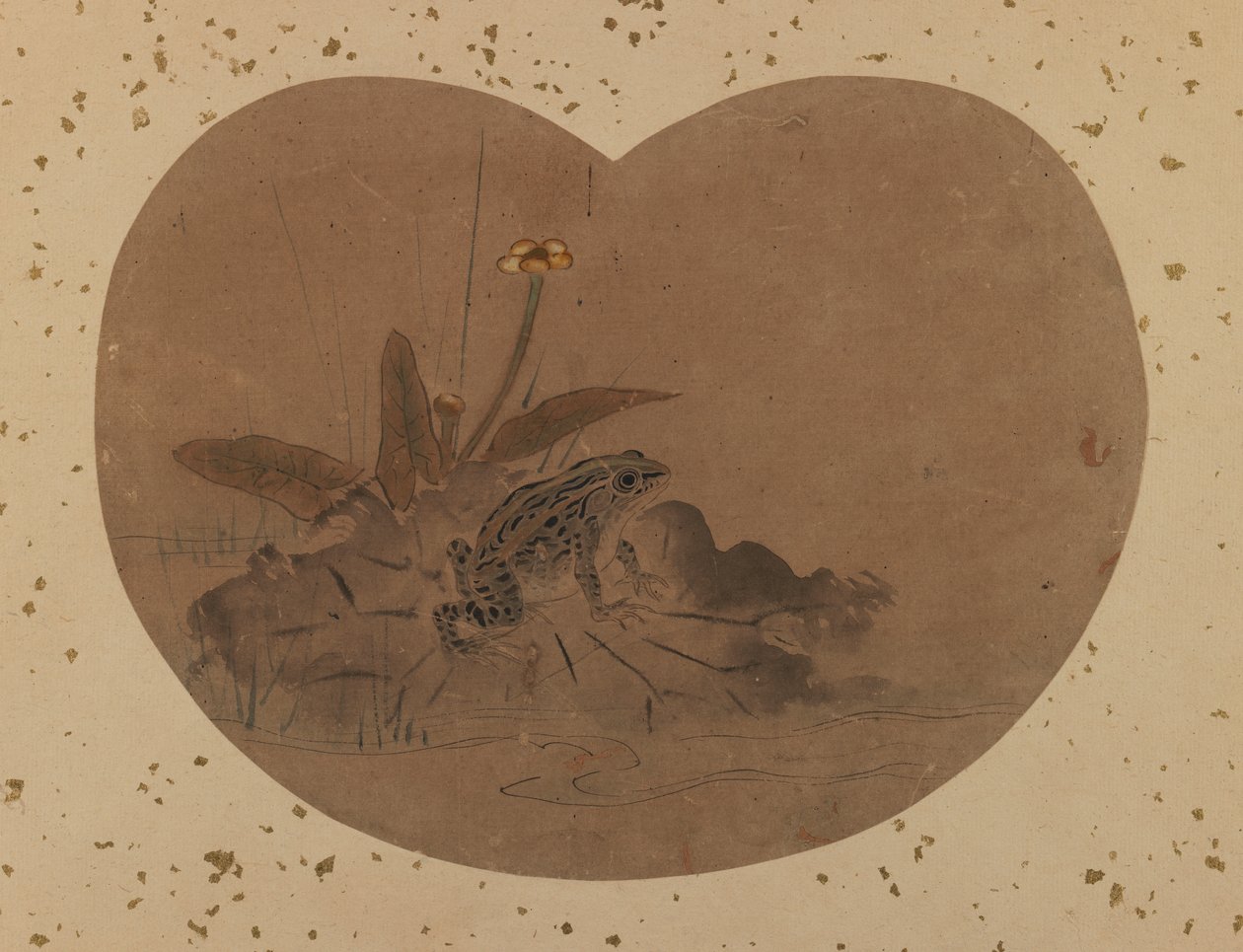 Dipinto a ventaglio di una rana (verso) da Japanese School