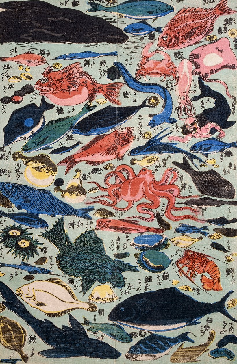 Pesce fresco, molluschi e crostacei da Japanese School