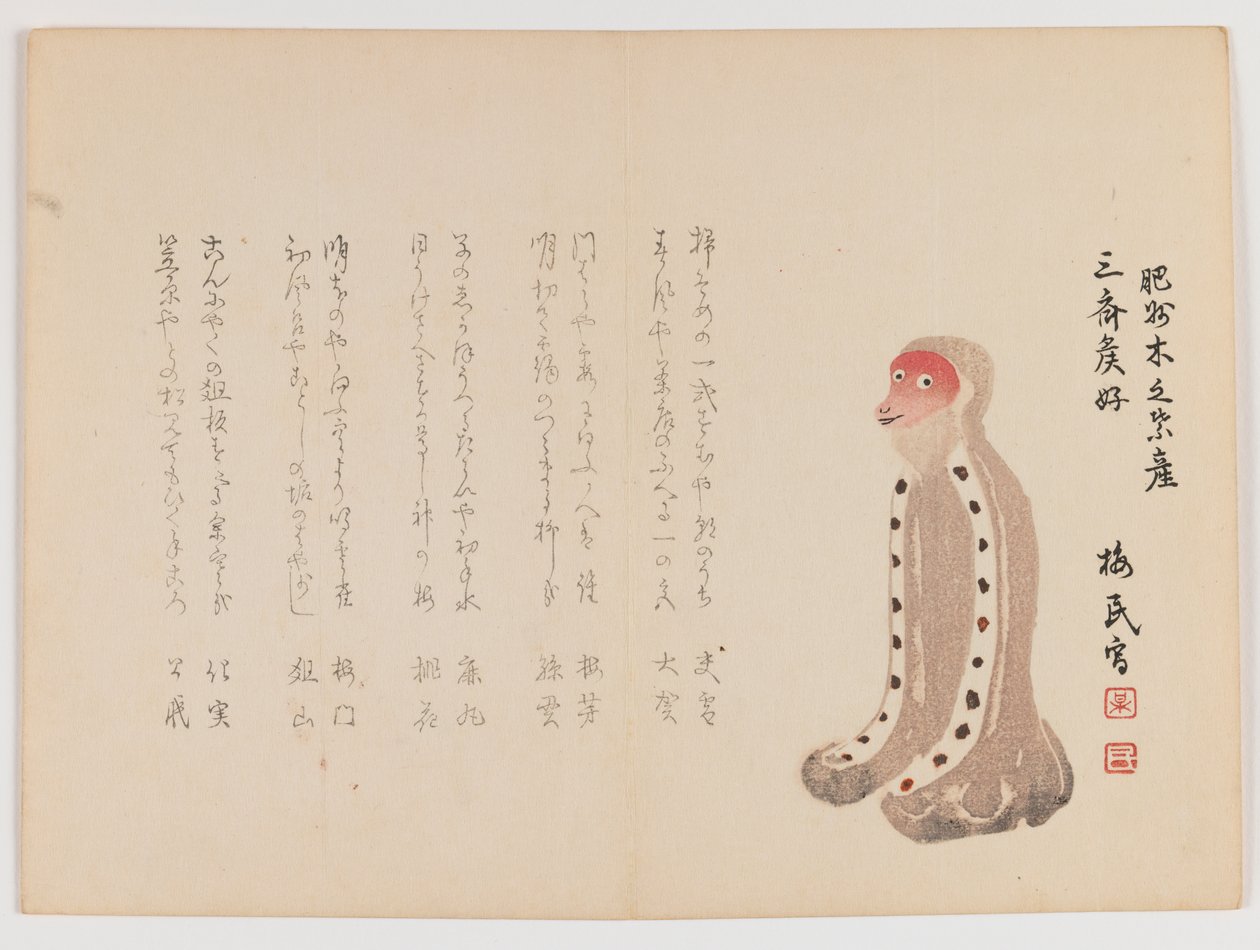 Scimmia inginocchiata con faccia rossa, c.1860 da Japanese School