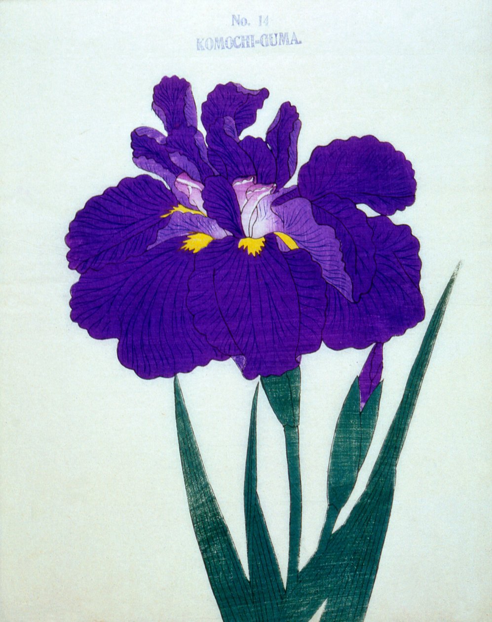Komochi-Guma n.14, 1898 da Japanese School
