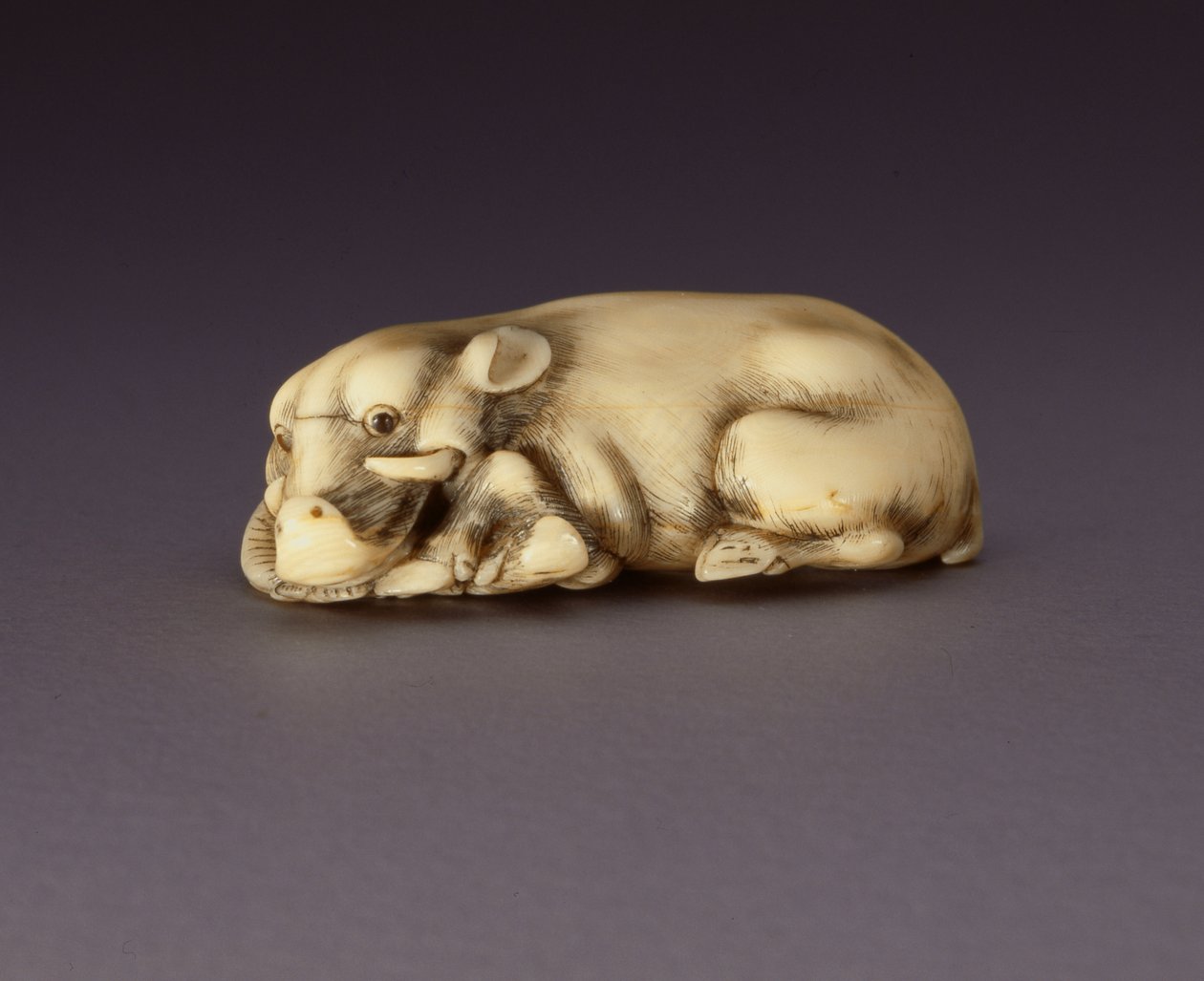 Netsuke raffigurante un cinghiale reclinato, c. 1750-80 da Japanese School